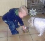 child touching dog food